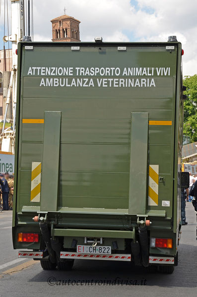 Premi per vedere l'immagine alla massima grandezza