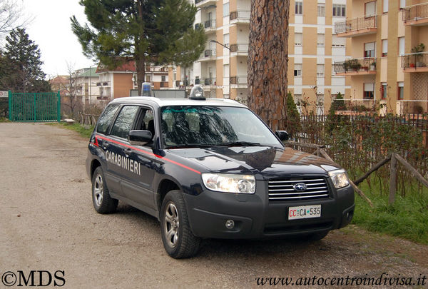 Premi per vedere l'immagine alla massima grandezza