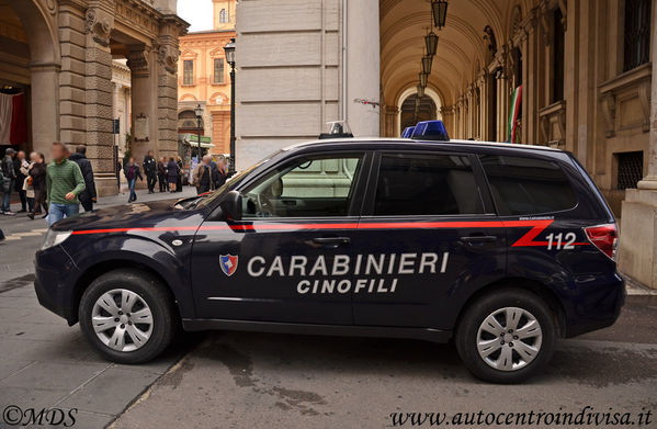 Premi per vedere l'immagine alla massima grandezza