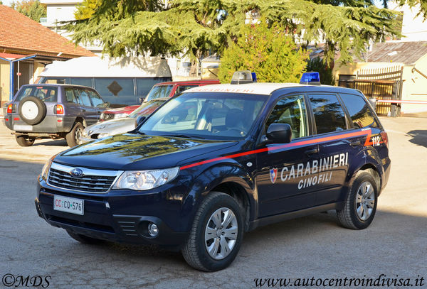 Premi per vedere l'immagine alla massima grandezza