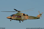 AgustaWestland_AW139_Royal_Oman_Police_A40-CJ_3.JPG