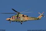 AgustaWestland_AW139_Royal_Oman_Police_A40-CL.JPG