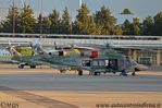 AgustaWestland_AW139_Royal_Oman_Police_A40-CL_1.JPG