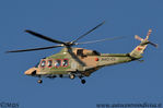 AgustaWestland_AW139_Royal_Oman_Police_A40-CL_4.JPG
