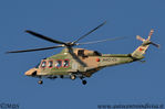 AgustaWestland_AW139_Royal_Oman_Police_A40-CL_4.JPG