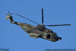 Nome del file=Agusta_HH-3F_15-23_MM80992_1.JPG
Dimensione del file=117KiB
Dimensioni=1200x813
Aggiunta il=Ott 18, 2012 Agusta_HH-3F_15-23_MM80992_1.JPG
