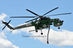 Nome del file=Erickson_Air-Crane_S-64F_CFS_100_Geronimo.JPG
Dimensione del file=201KiB
Dimensioni=1200x795
Aggiunta il=Mag 06, 2014 Erickson_Air-Crane_S-64F_CFS_100_Geronimo.JPG