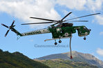 Nome del file=Erickson_Air-Crane_S-64F_CFS_100_Geronimo_3.JPG
Dimensione del file=287KiB
Dimensioni=1200x795
Aggiunta il=Giu 25, 2014 Erickson_Air-Crane_S-64F_CFS_100_Geronimo_3.JPG