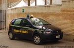 Fiat_Punto_II_serie_GdiF_303_AW.JPG