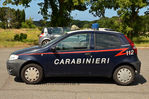 Fiat_Punto_Van_III_serie_Carabinieri_Cinofili_AM_CH_976_1.JPG