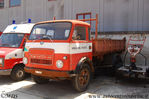 OM_55_Tigrotto_VF9034~0.JPG
