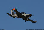 Siai_Marchetti_SF-260EA_70-22_2.JPG